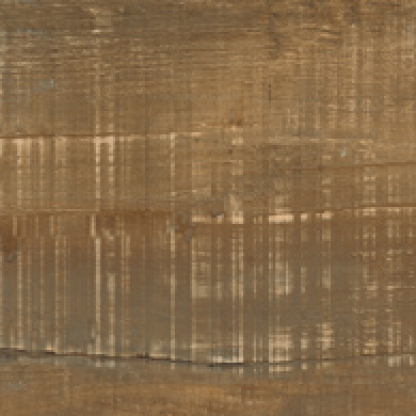 Wood Ego Brown 1200x195 (7)
